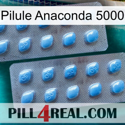 Anaconda 5000 Pill viagra4